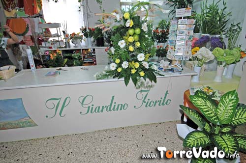 foto Operatori e servizi morciano di leuca, torre vado e morciano di leuca